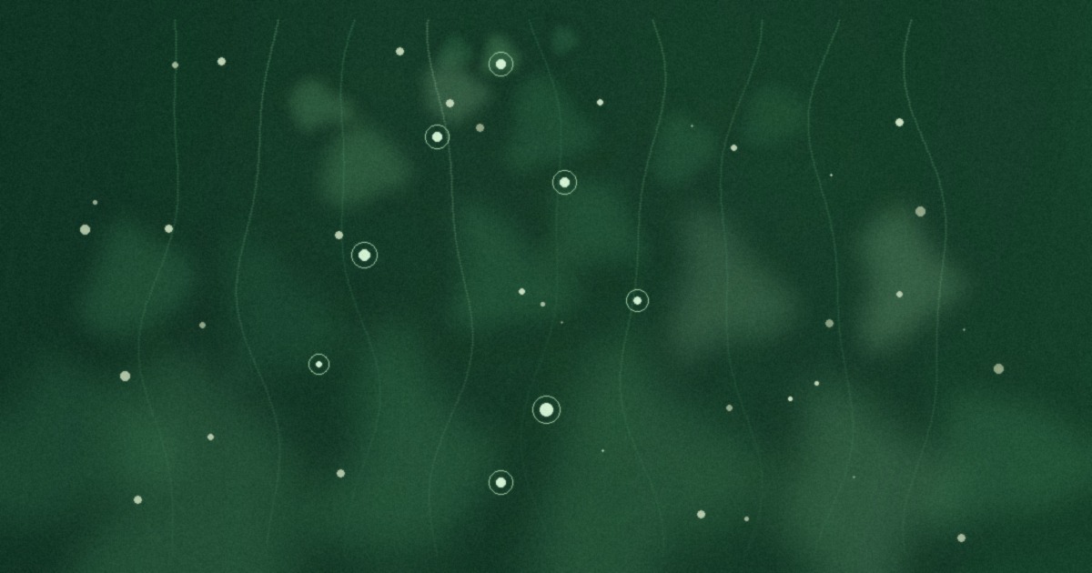 Packstack open-source gear list web app